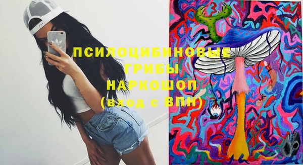 Альфа ПВП Ельня