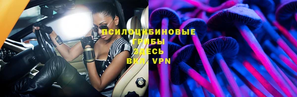 Альфа ПВП Ельня