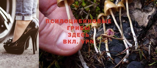 ешки Заводоуковск