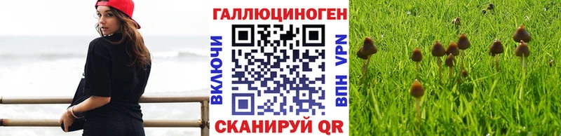 Псилоцибиновые грибы ЛСД  Купить закладки  Тобольск 
